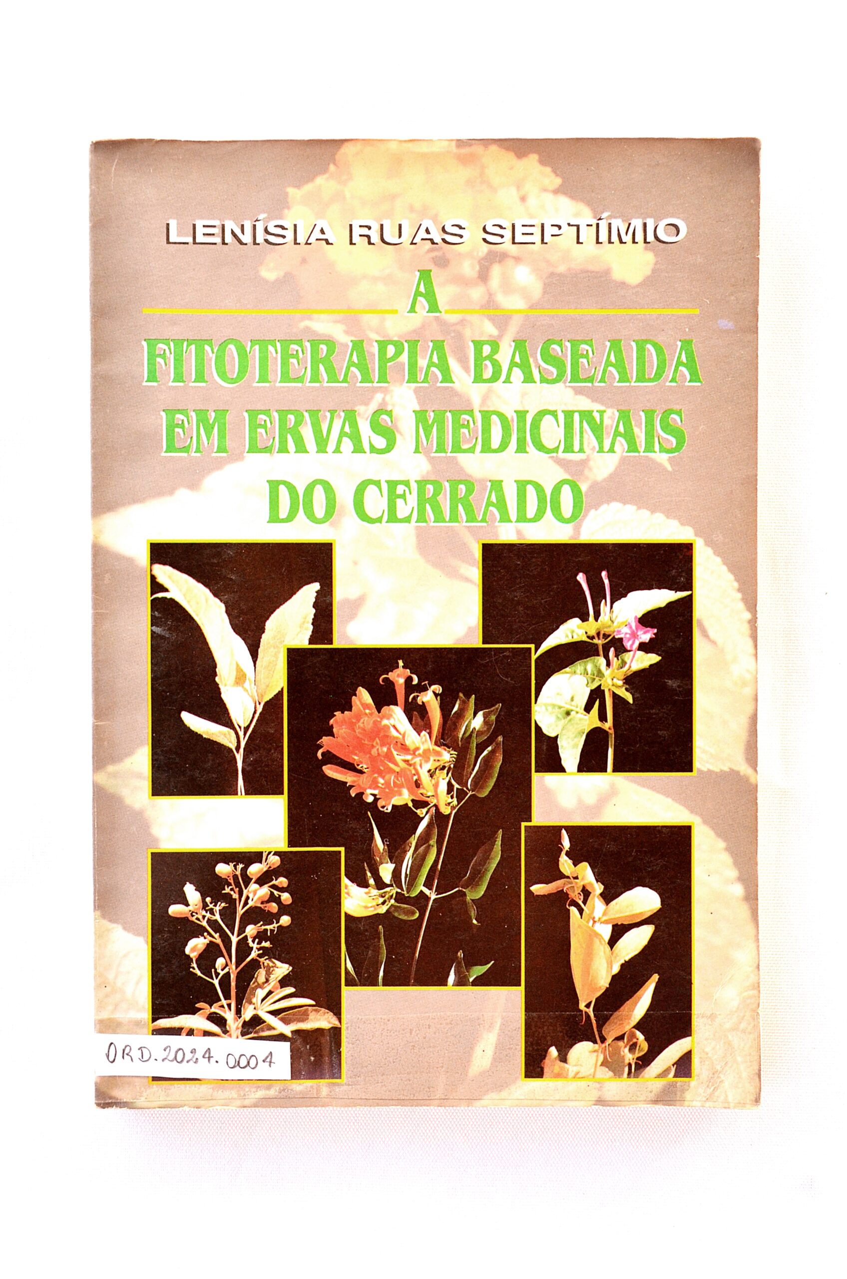 A fitoterapia baseada em ervas medicinais do cerrado