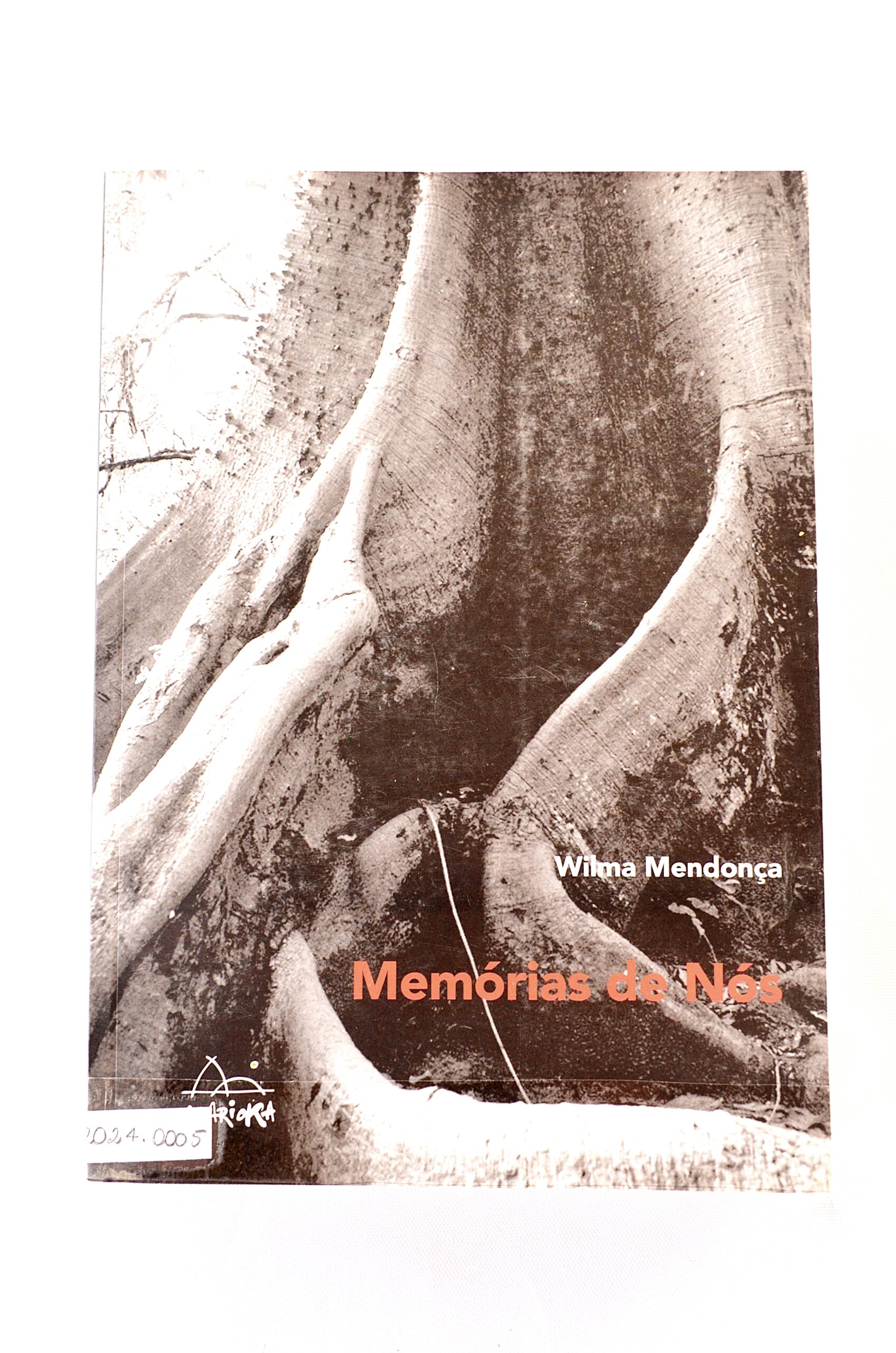 Memórias de nós: O Brasil no Redemoinho do Capital