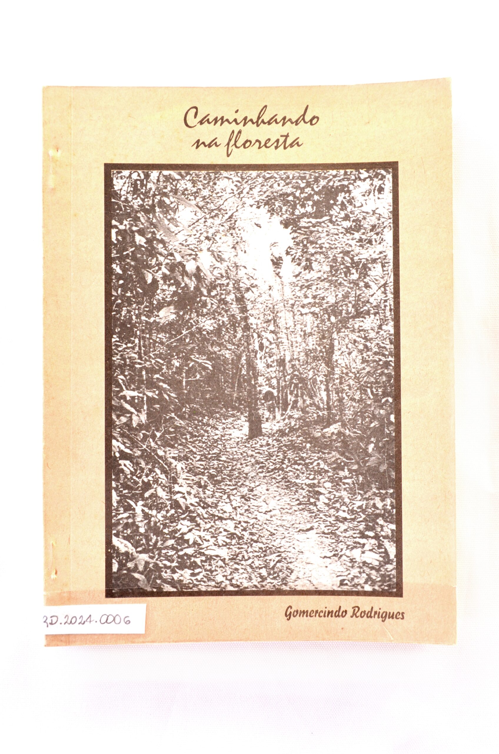 Caminhada na Floresta