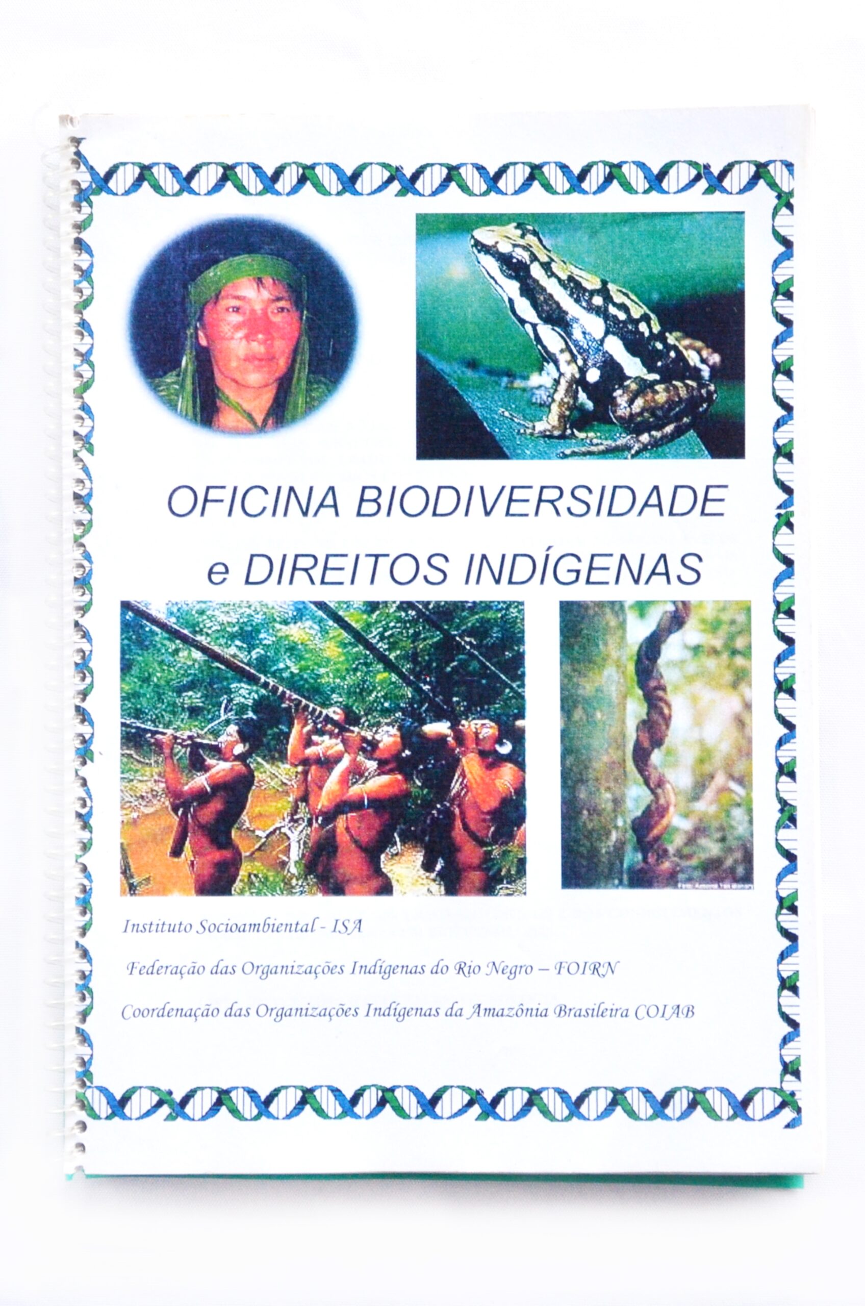 Oficina Biodiversidade e Direitos Indígenas