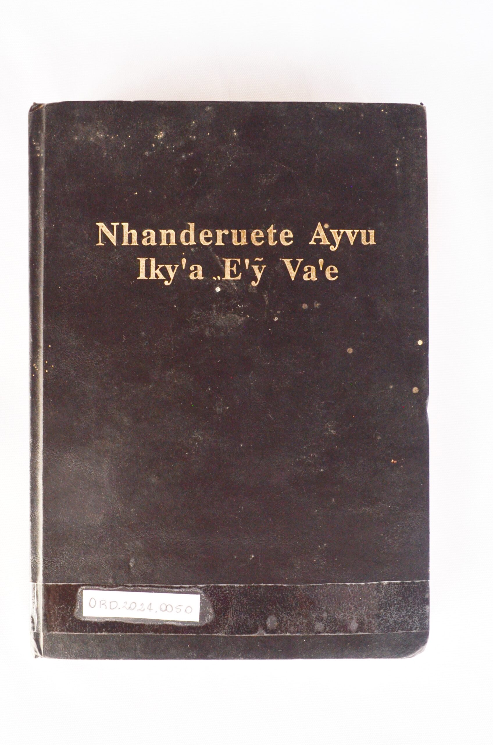 Nhanderuete Ayuv Iky’a E’x Va’e