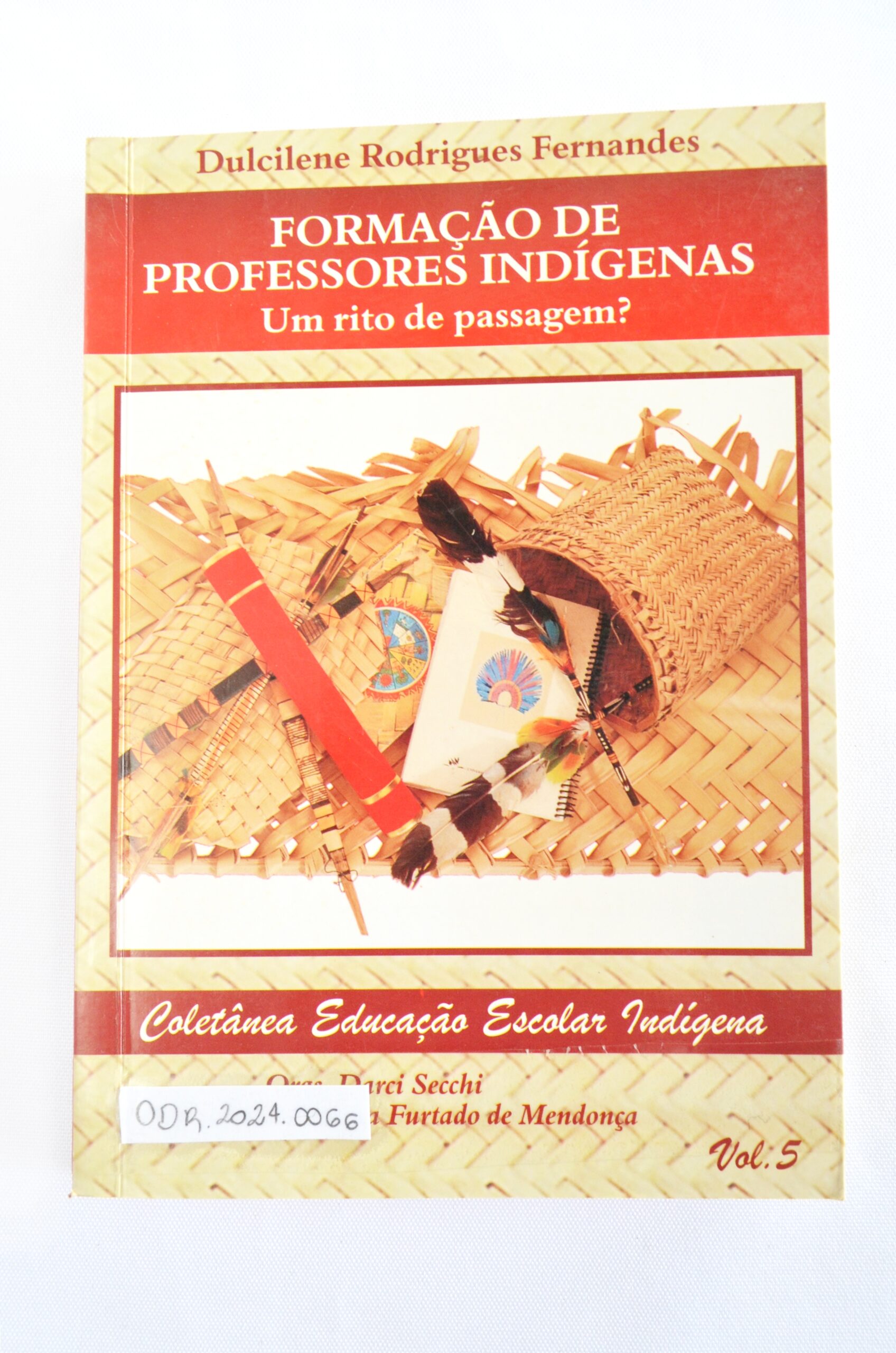 Formação de professores indígenas um rito de passagem?