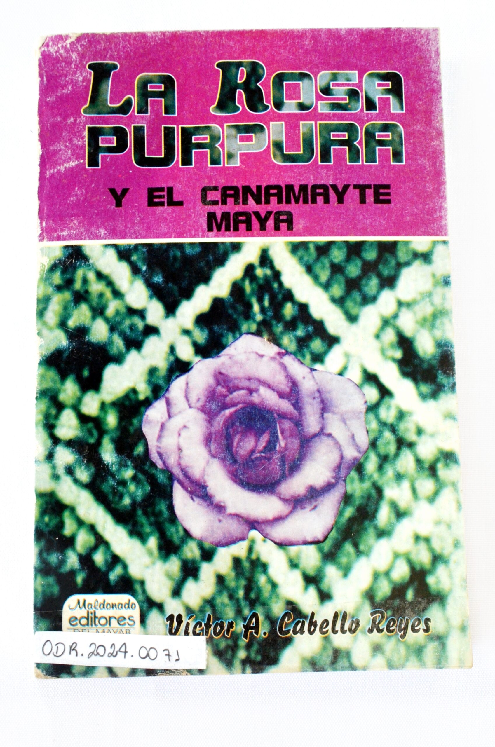 La rosa purpura e o canamayate maya