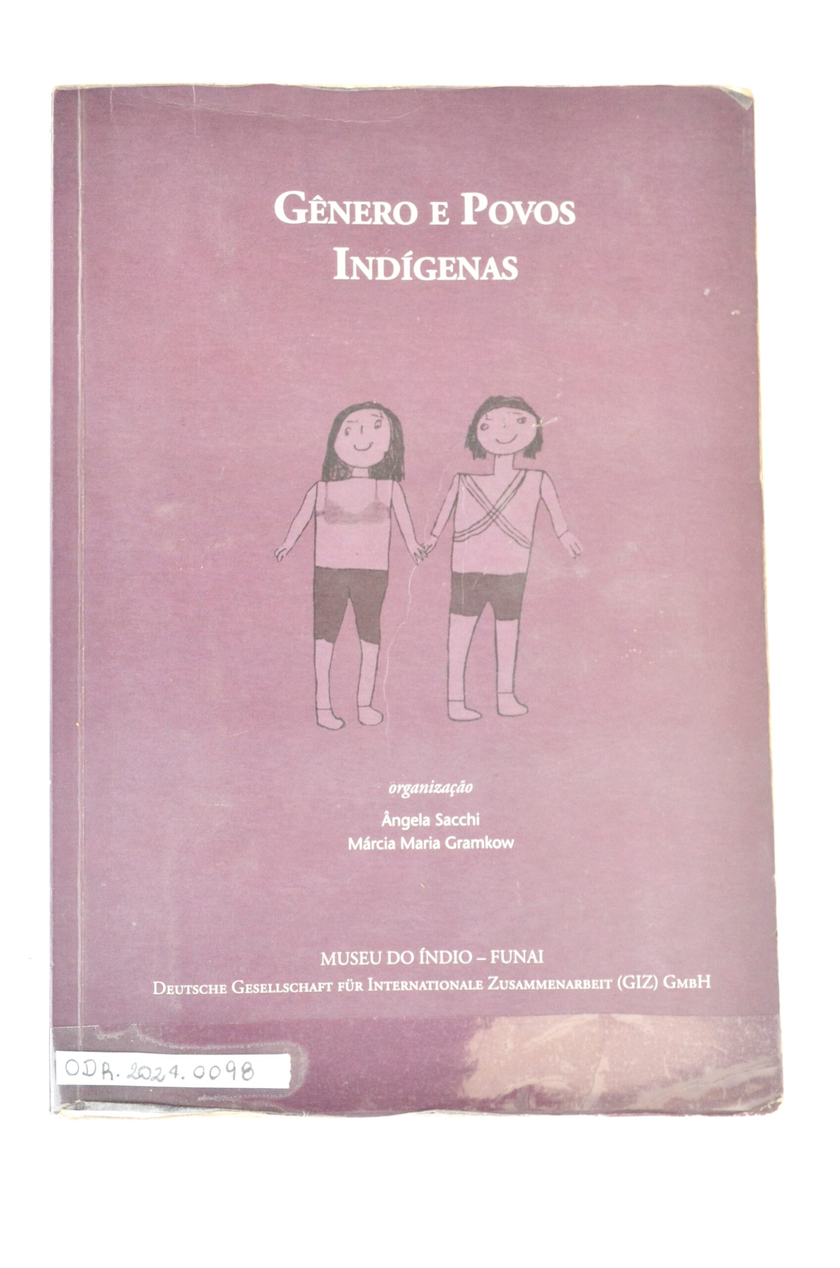 Gênero e povos indígenas