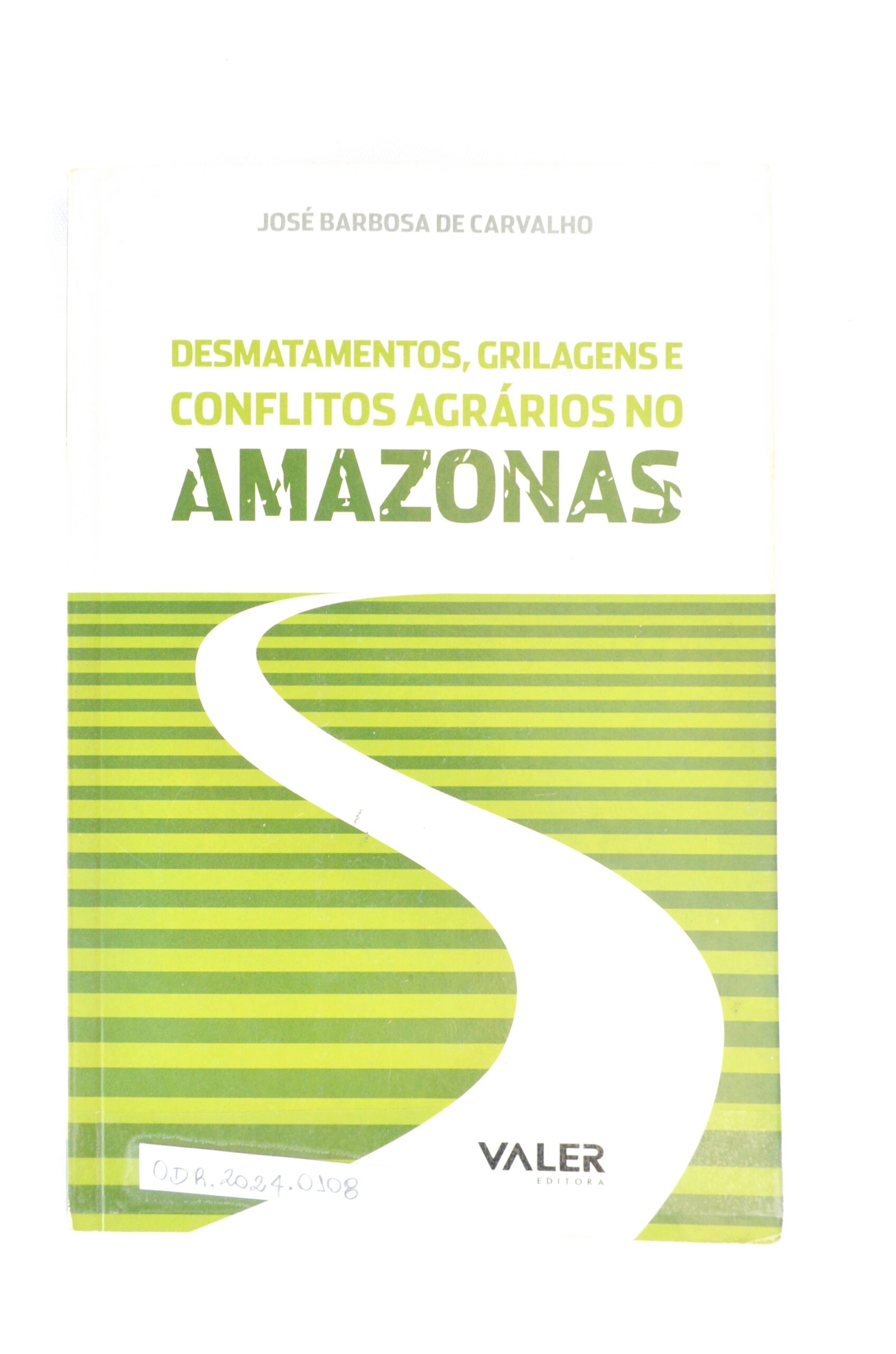 Desmatamentos, colagens e conflitos agrários no Amazonas