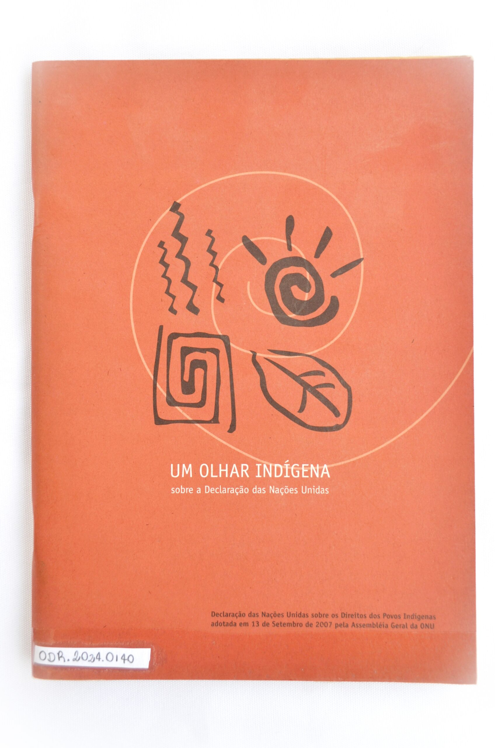 Um olhar indígena: sobre a declaração da Nações Unidas
