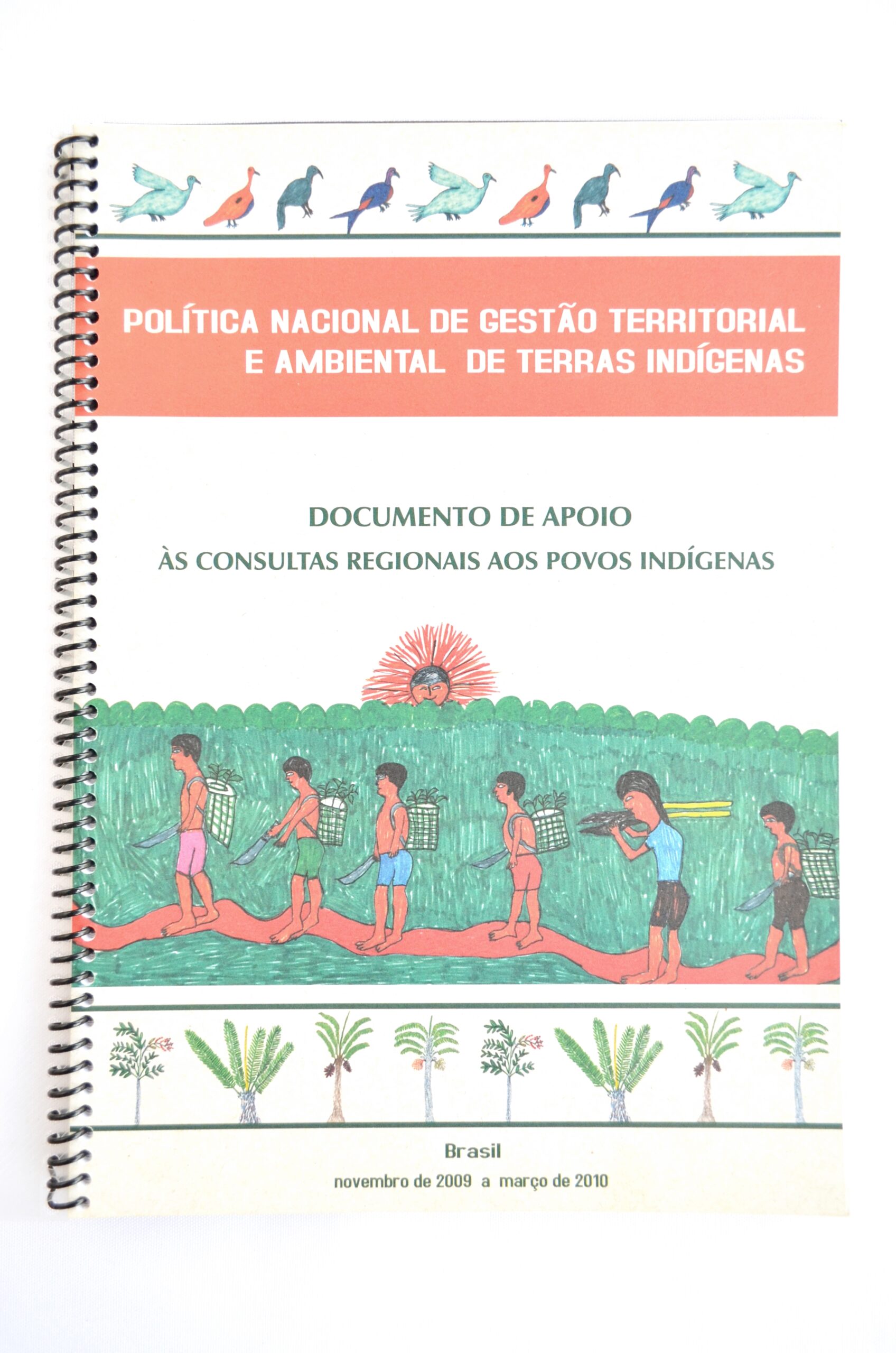Política nacional de gestão territorial e ambiental de terras indígenas